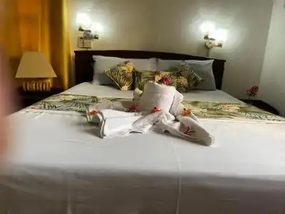 Orchid Sunset Guest House - 16