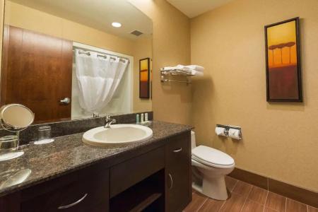 Quality Inn & Suites Levis - 58