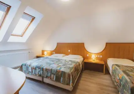 Apartments Vitranc - 5