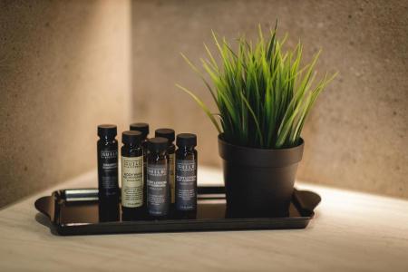 Sunrose 7 - Gourmet & SPA (16+) - 36