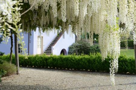 Guesthouse ai Santinelli - 15