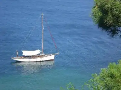Mola - 41