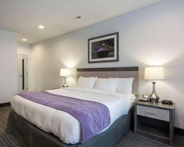Comfort Inn Williamsburg Gateway - 25