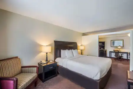 Clarion Inn & Suites Central Clearwater Beach - 67
