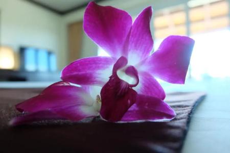 Lanta Mermaid Boutique House - 186