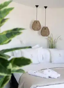 Ikies of Mykonos - 35