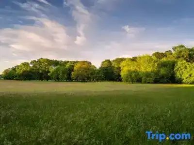 ParkBremen - 100