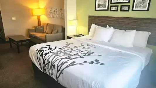 Express Inn & Suites - 34