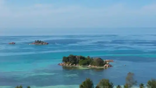 Mango Lodge - 131