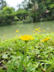 Muaan Resort - 35
