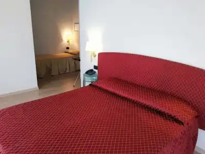 Il Gatto - 4