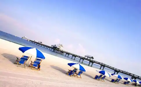 Hampton Inn & Suites Clearwater/St. Petersburg-Ulmerton Road, FL - 18