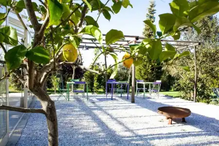 Agriturismo Humile - 8