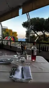 Degli Ulivi - 12