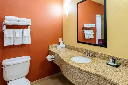 Sleep Inn & Suites Tyler South - 58