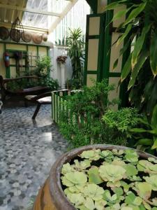 Baan Tepa Boutique House - 13