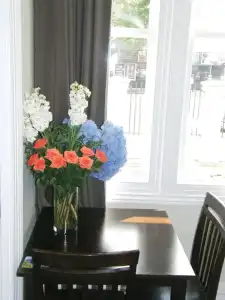 Ponsonby Manor - 37