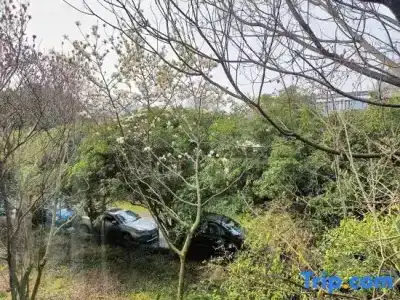 Longjing No.3 Resort - 32