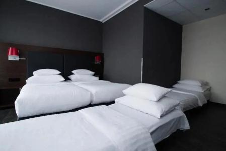 PLAZA INN Graz City - 106