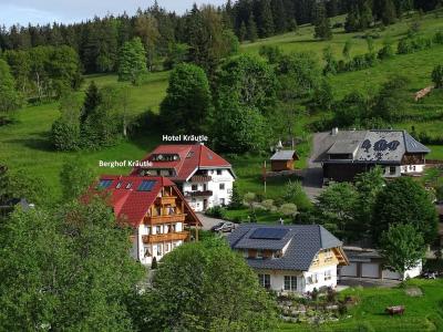 Schwarzwald-Pension Kräutle - 13