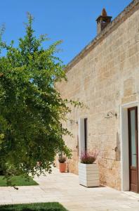 Masseria Corda di Lana - 99