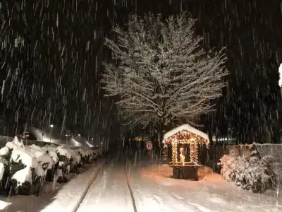 TH Borca di Cadore - Park Des Dolomites - 25