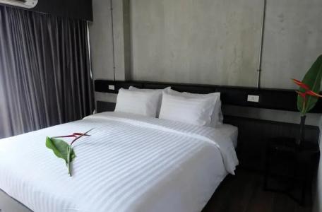DSure Patong - 50