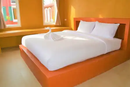 World Cat & Resort - 4