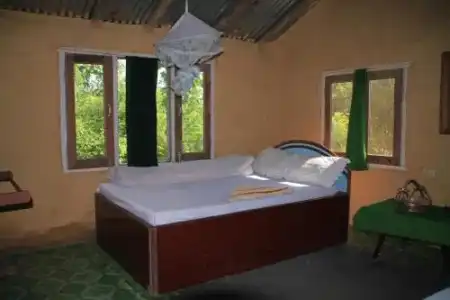 Bardia Forest Resort - 1