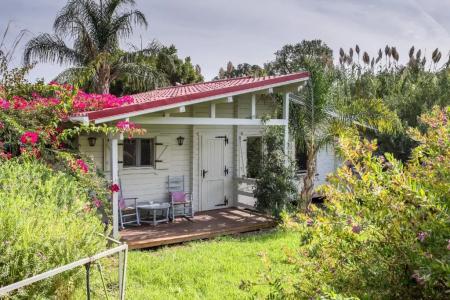 Mesón de Sancho - 88