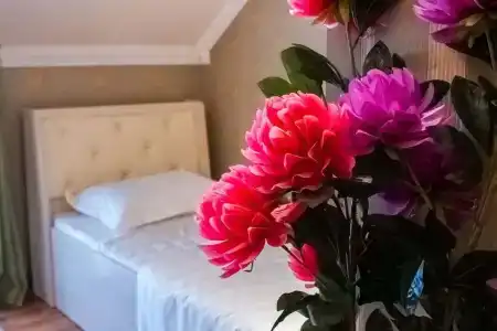 Eleon - Hostel - 10
