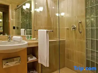 Pullman Sao Paulo Ibirapuera - 90