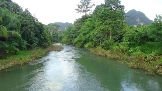Tree Top River Huts - 38