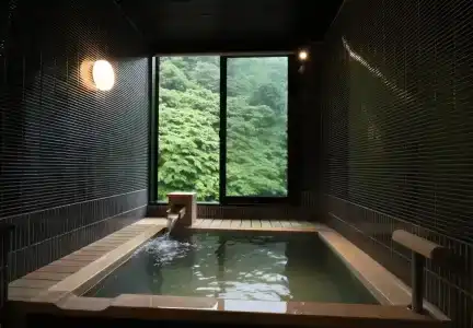 Yumoto Ueyama Ryokan - 21