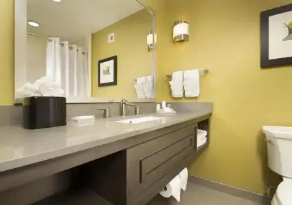 Hilton Garden Inn College Station - 9