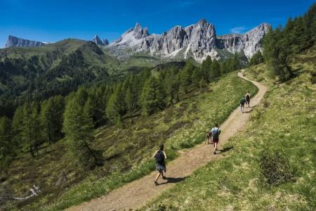 FIORI Dolomites Experience - 29
