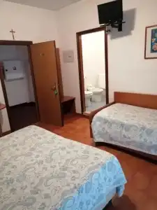 Trifoglio - 56