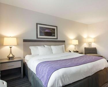 Comfort Inn Williamsburg Gateway - 14