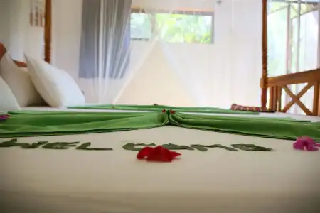 Nature Lanka Ayurveda Resort - 13