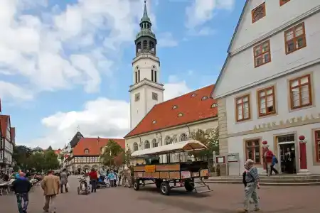 Heidekönig Celle - 20