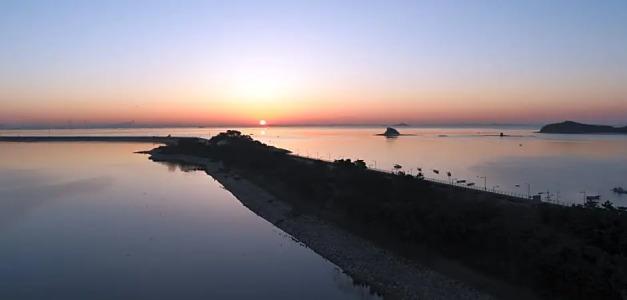 Nest, a Member of Designs - 68