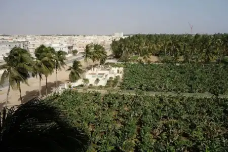 Grand Tayba - 27