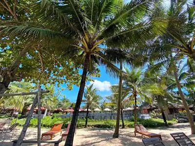 Thanh Kieu Beach Resort - 100