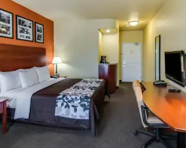 Sleep Inn & Suites Tyler South - 5