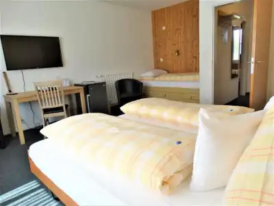 Bündnerhof - 22