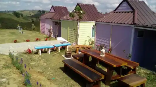 Lovely Farm - 43