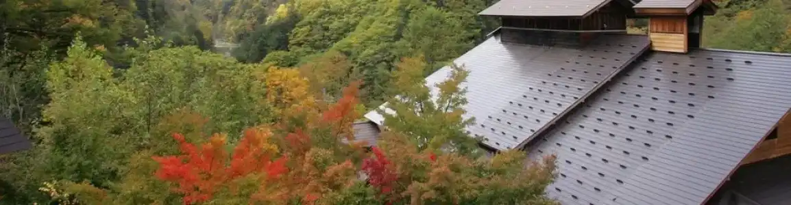 Shirafune Grand - 32