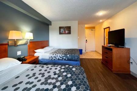 Econo Lodge Motel Village - 53