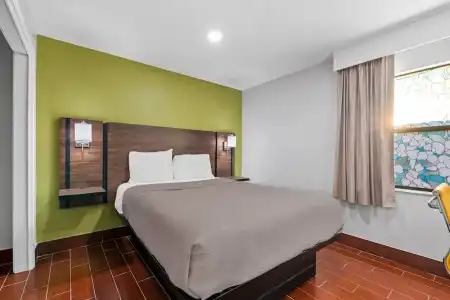 Travelodge by Wyndham & Cottages St Augustine/Historic - 78