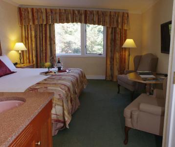 Stoweflake Mountain Resort & Spa - 1